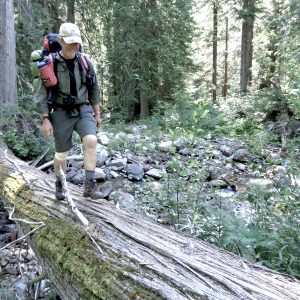 Ross Creek